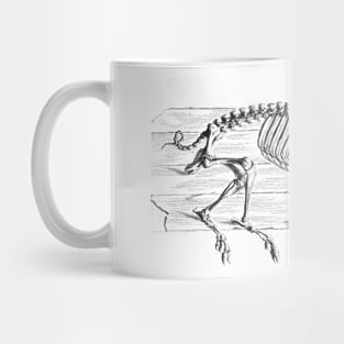 Osteographia - Hog Mug